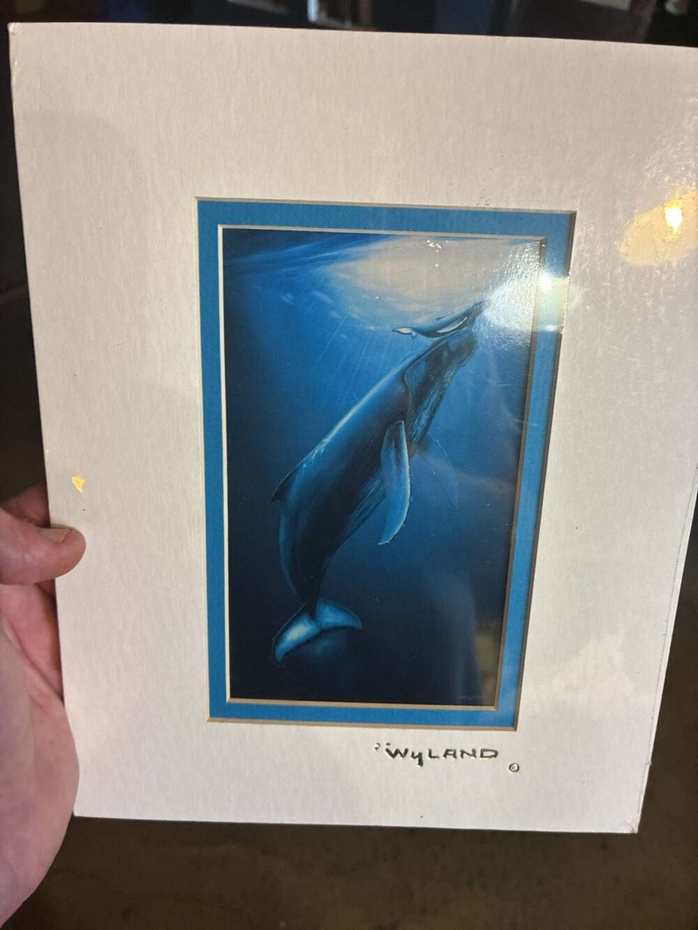 Wyland First Breath Limited Edition Print 1993